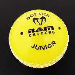 Photo from the official notice: ALOB Crazy Cricket Set — chemical risk
