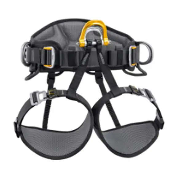 Photo from the official notice: Astro and Canyon Guide Harnesses — injuries risk