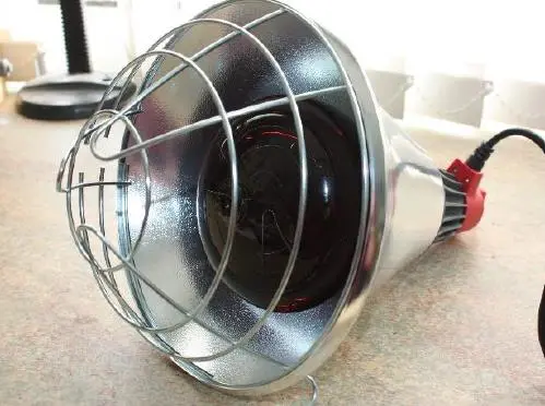 Photo from the official notice: Belns Melns Poultry Heat Lamp, SD5P — electric shock risk