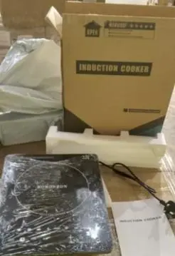 Photo from the official notice: Black Roronron Induction Cooker RR-915 — fire risk