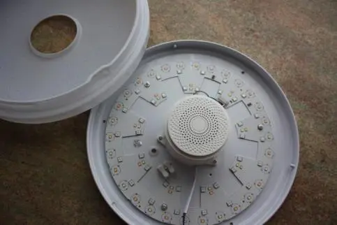 Photo from the official notice: Ceiling Lamp with Speaker sold via eBay — electric shock risk