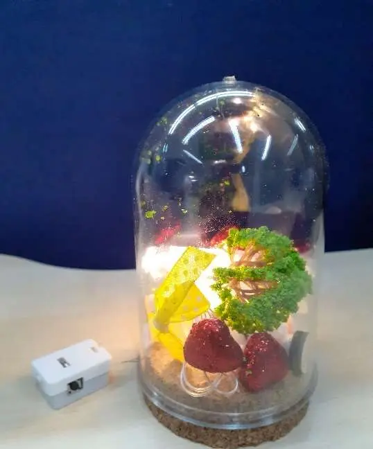 Photo from the official notice: DiY Mini Landscape Light — choking & chemical risk