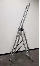 Photo from the official notice: Extension Ladder — falls risk