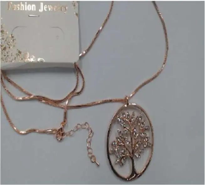 Photo from the official notice: Fashion Jewelry Copper coloured metal necklace — chemical risk