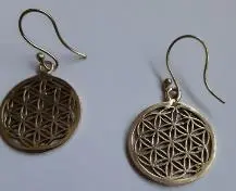 Photo from the official notice: Gold and silver-coloured earrings sold by Gecko Gifts Limited — chemical risk