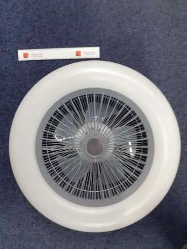 Photo from the official notice: Meter Diameter Remote Controlled Illuminated Ceiling Fan — electric shock risk
