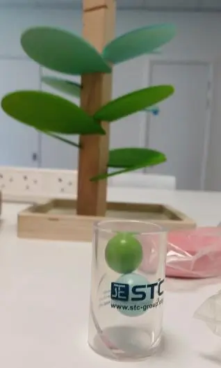 Photo from the official notice: Montessori Sound Tree — choking risk