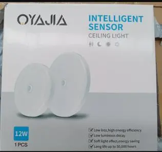 Photo from the official notice: Qyajia Sensor Ceiling Light MD-HWGY-CBXDD12 sold via eBay — electric shock risk