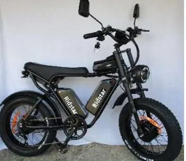 Photo from the official notice: Ridstar E-Bikes Q20-Plus, Q20-Mini, E26 Pro and Chargers — fire risk