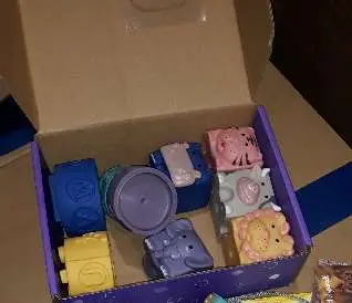 Photo from the official notice: Soft Glue Animal Building Blocks — suffocation risk