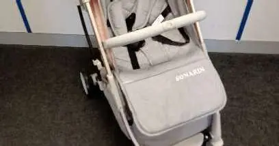 Photo from the official notice: Sonarin Baby Stroller — falls risk
