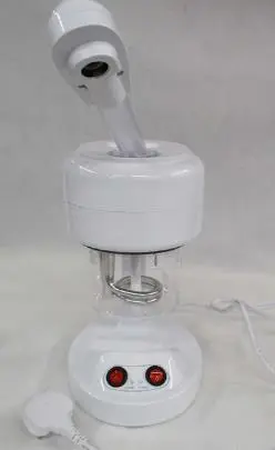 Photo from the official notice: Steam Beauty Ion Vapour Steamer — electric shock risk