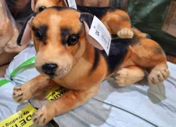 Photo from the official notice: Tongbao Toys Ltd Animal Plush Toys — choking risk