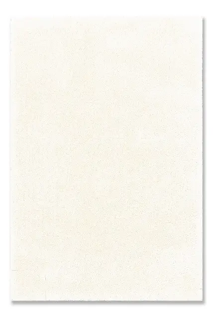 Recalled Ultimate Shag Rug in White