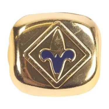 Blue Webelos neckerchief slide