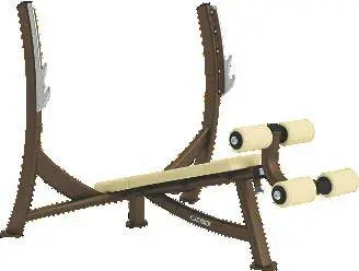 Olympic Decline Free Weight Bench Model 16063