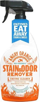 Recalled Fresh Clean Angry Orange Enzyme Stain Remover