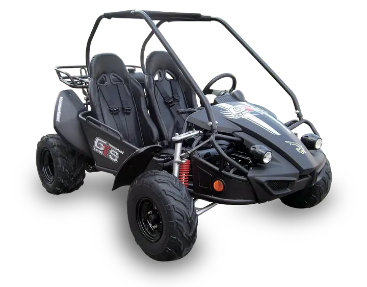 Hammerhead Off-Road GTS 150 fun-kart