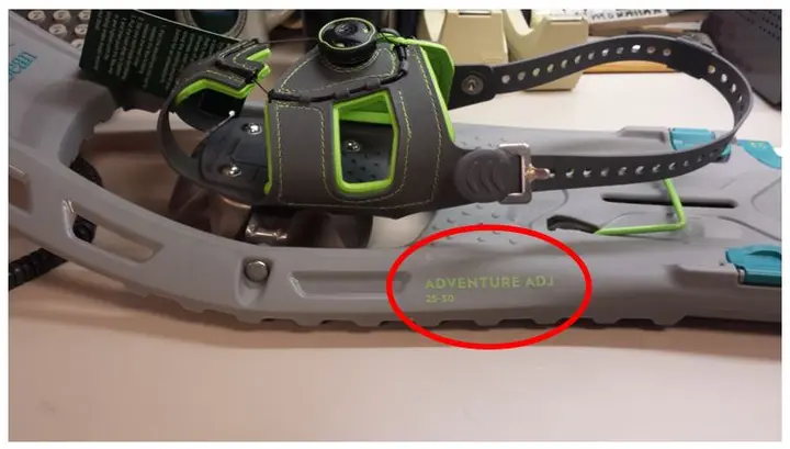 L.L. Bean Adventure Adjustable Snowshoes 25"-30" in Glacier/Teal