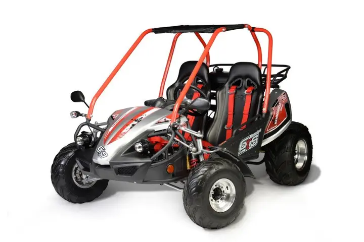 Hammerhead Off-Road GTS Platinum fun-kart