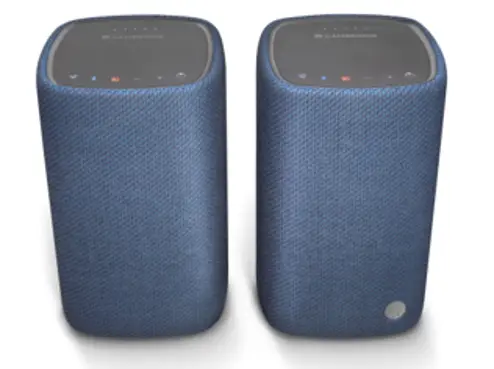 Recalled Portable Bluetooth Speakers