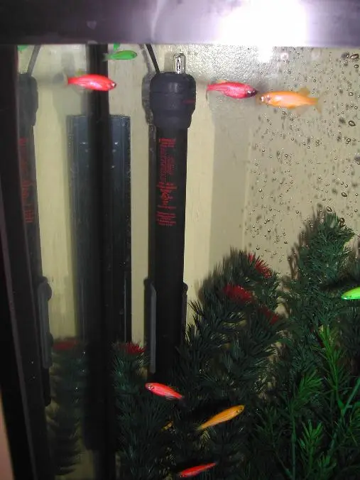 Aquarium Heaters Recalled