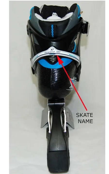 "Tempest" name on the skate