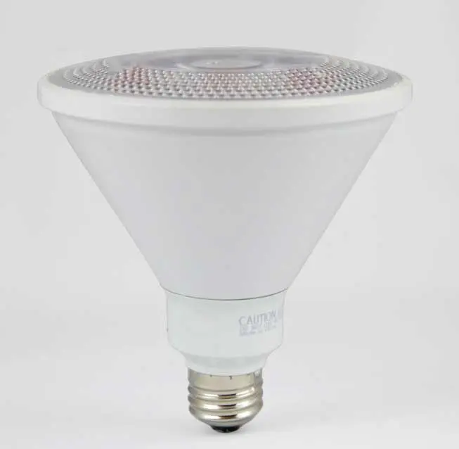 LED 14 watt PAR38 Wet Location Bulb