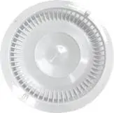 Recalled Earthtec 7 3/8-inch Pool Drain Cover (back view)