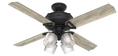 Hunter fan 54185 Brunswick 52" with 4 lights in black (natural iron) housing