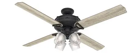 Hunter fan 54179 Brunswick 60" with 4 lights in black (natural iron) housing