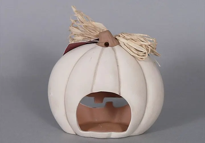 Recalled Jack-o-lantern (back)