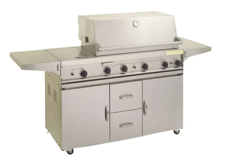 Recalled Members Mark® gas grill