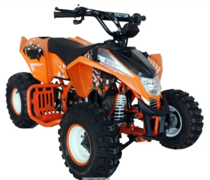 Recalled EGL MADIX 110 Youth ATV