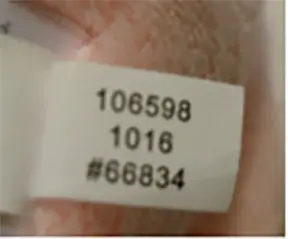Just One You Waggy Musical Kitty Batch Code label #66834