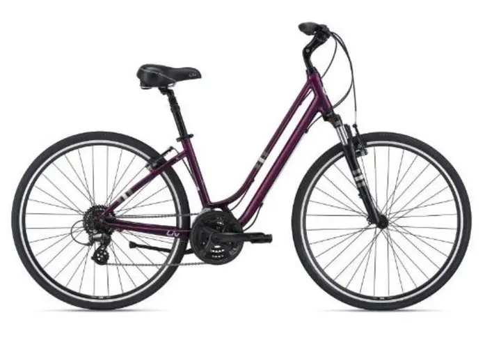 Recalled 2021 Liv Flourish FS 1 bicycle