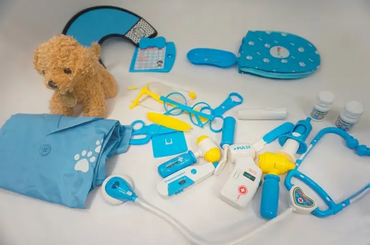 Recalled Sanlebi Pet Vet Playset – Full Set