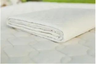 Recalled Savvy Rest Quilted Cotton Mattress Pads