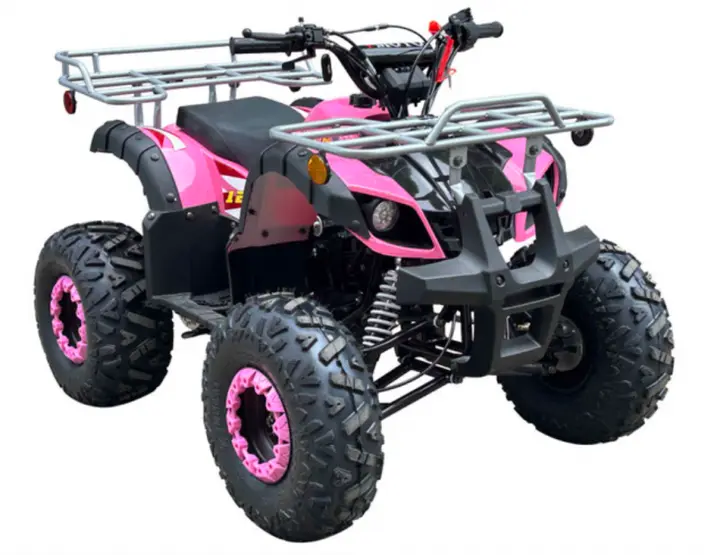 Recalled Sierra 125U Youth ATV – Pink