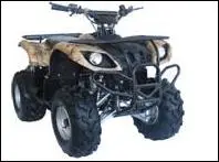 Recalled Baja Wilderness 90u ATV