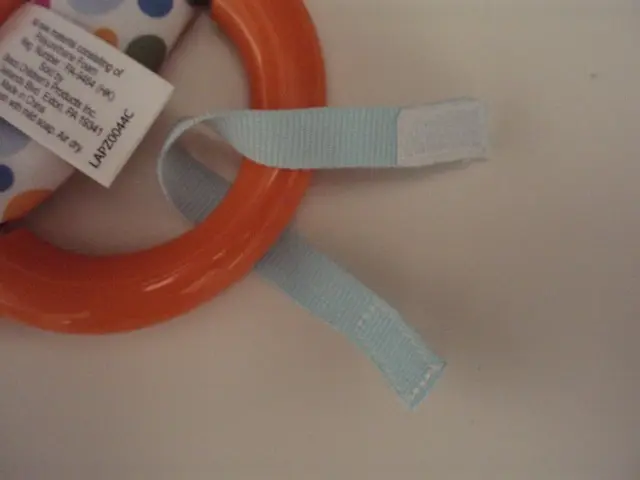 Detachable Toy on Recalled Doorway Jumper