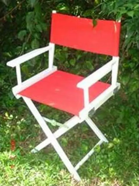 Photo from the official notice: Directors Chairs Sold at Lowe's Stores Recalled Due to Fall Hazard; Made by White Tiger