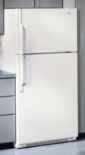 Top Freezer model