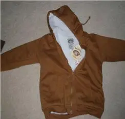 Picture of Recalled Hooded Sweatshirt