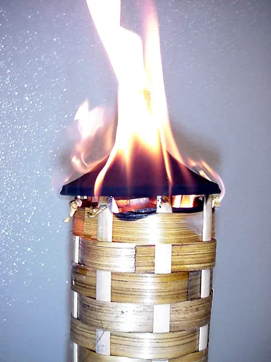Torch on fire