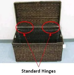 Recalled Storage Trunk Showing Standard Hinges