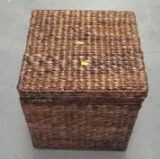 Recalled Storage Trunk