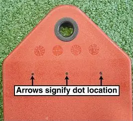 Location of Dots on the seat's end