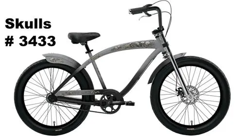 Recalled Skulls #3433 bicycle