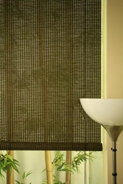 Recalled Zen Moss blind